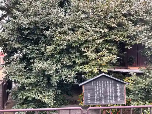 伝香寺のその他建物