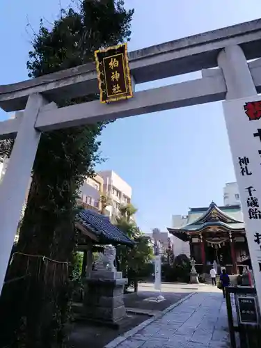 柏神社の鳥居