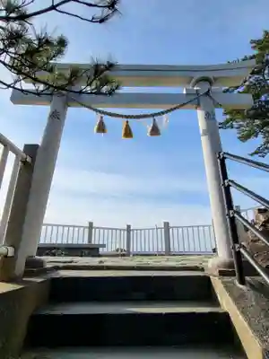 海津見神社（桂浜龍王宮）の鳥居