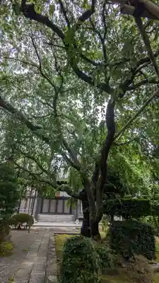西迎寺(京都府)