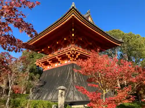 仁和寺(京都府)