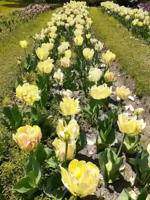 宮前霹靂神社の{uncategorized: "未分類", other: "その他", undefined: "問題あり", building: "その他建物", grave: "お墓", sacred_gate: "鳥居", guardian: "狛犬", statue: "像", buddha: "仏像", history: "歴史", nature: "自然", garden: "庭園", animal: "動物", pagoda: "塔", temizu: "手水舎", mountain_gate: "山門・神門", sanctuary: "本殿・本堂", subordinate: "末社・摂社", art: "芸術", scenery: "景色", jizo: "地蔵", ema: "絵馬", goshuin: "御朱印", omikuji: "おみくじ", items: "授与品その他", amulet: "お守り", goshuincho: "御朱印帳", eats: "食事", festival: "お祭り", votive_dance: "神楽", shichigosan: "七五三参", wedding: "結婚式", experience: "体験その他", initially: "初詣", around: "周辺", anti_infection: "感染症対策"}
