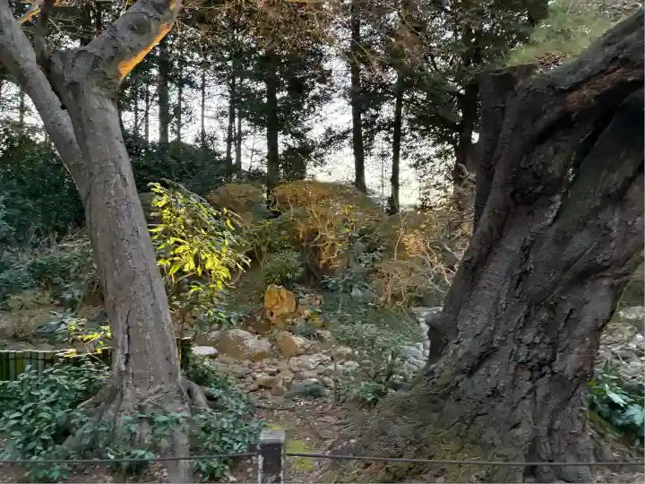 岩槻久伊豆神社(埼玉県)