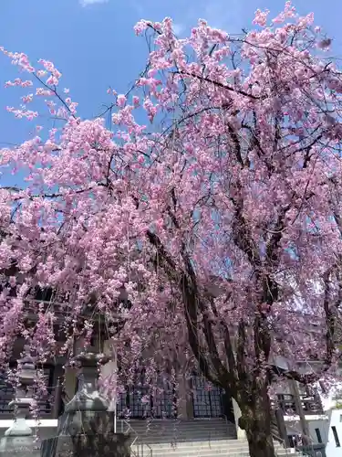 浄得寺(福井県)