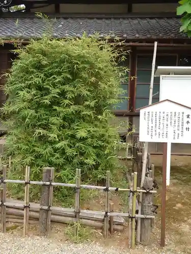 無量寿寺の自然