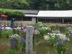 太宰府天満宮の庭園