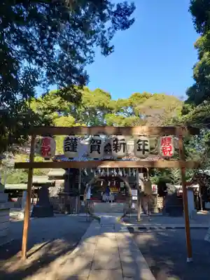代々木八幡宮の初詣