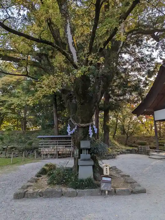 武田神社(山梨県)