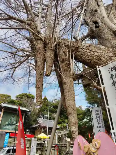 海南神社の自然