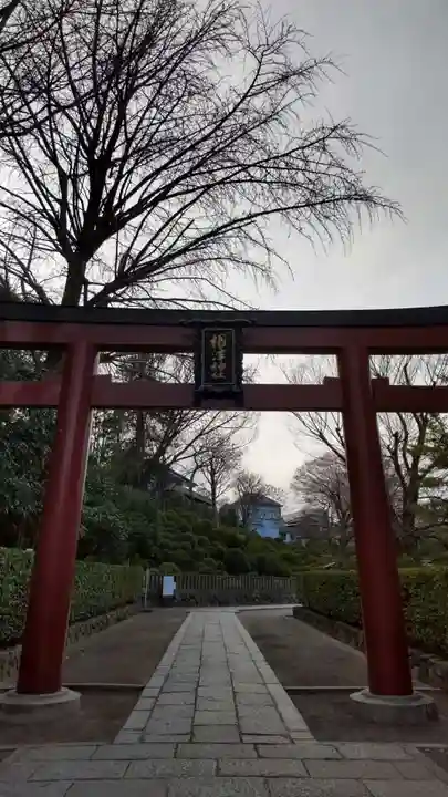 根津神社の鳥居