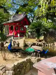 楽法寺（雨引観音）(茨城県)