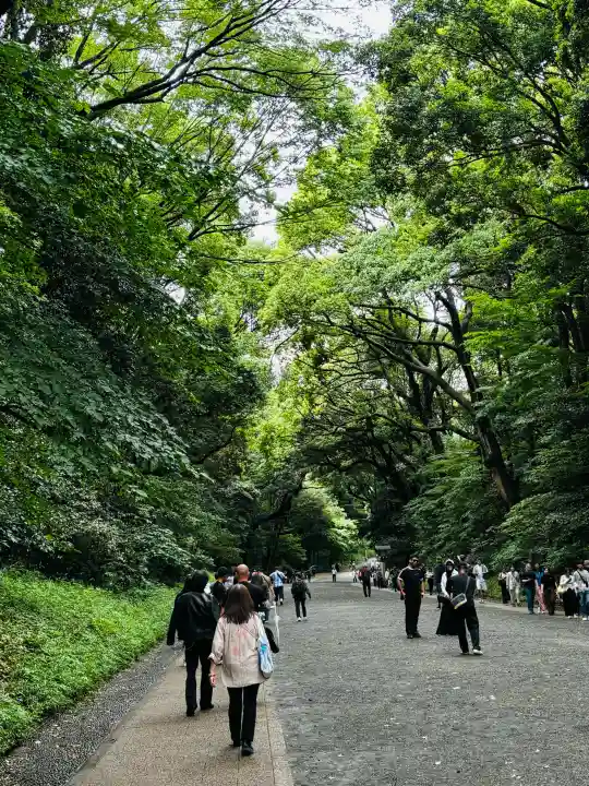 明治神宮(東京都)