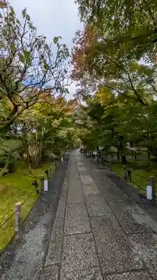 禅林寺(永観堂)(京都府)