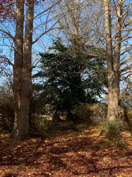 落文神社跡(千葉県)