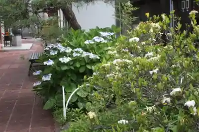 宝菩提院(京都府)