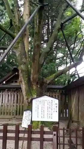 天岩戸神社の自然