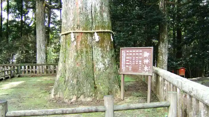 霧島神宮(鹿児島県)
