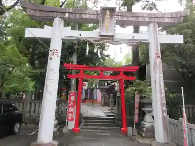 高知八幡宮(高知県)
