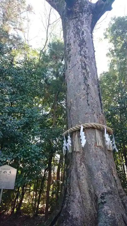 宇治上神社(京都府)