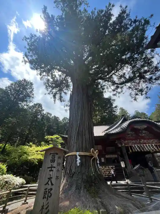北口本宮冨士浅間神社(山梨県)