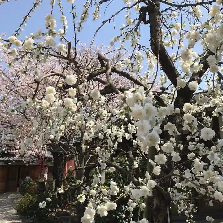 龍眼寺(萩寺)の庭園