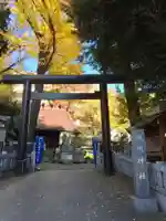 高円寺氷川神社の鳥居