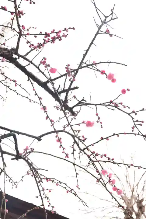 櫛田神社(福岡県)