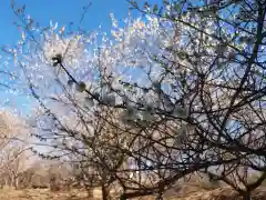 壽命院 永徳寺の自然