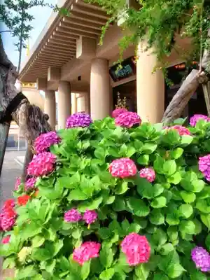 福王山  慈眼寺の自然