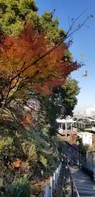 向陵稲荷神社の周辺