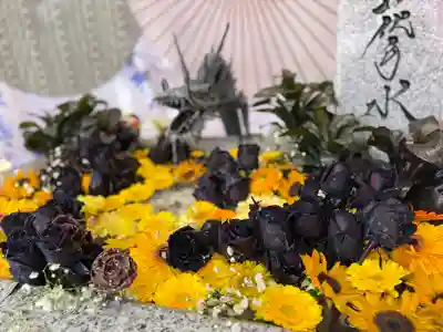 札幌諏訪神社の手水舎