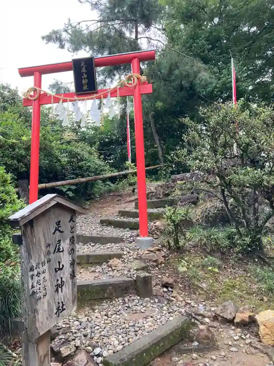 唐澤山神社の鳥居