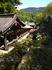 長谷寺の建物その他