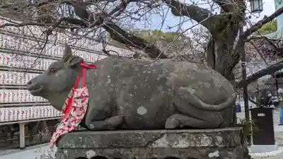 北野天満宮(京都府)