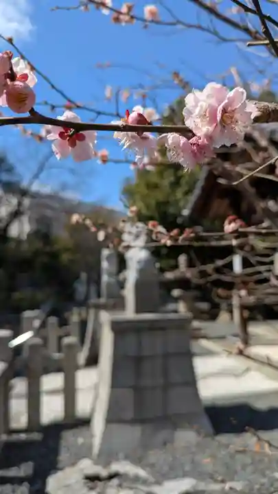天穂日命神社(京都府)