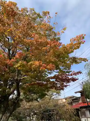 称讃寺(岐阜県)