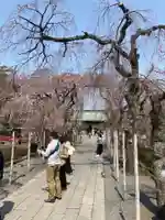 三嶋大社(静岡県)