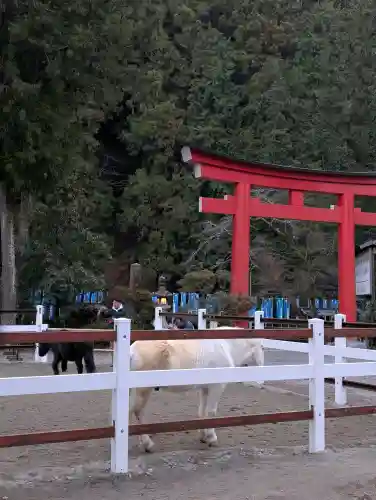 丹生川上神社（下社）の{uncategorized: "未分類", other: "その他", undefined: "問題あり", building: "その他建物", grave: "お墓", sacred_gate: "鳥居", guardian: "狛犬", statue: "像", buddha: "仏像", history: "歴史", nature: "自然", garden: "庭園", animal: "動物", pagoda: "塔", temizu: "手水舎", mountain_gate: "山門・神門", sanctuary: "本殿・本堂", subordinate: "末社・摂社", art: "芸術", scenery: "景色", jizo: "地蔵", ema: "絵馬", goshuin: "御朱印", omikuji: "おみくじ", items: "授与品その他", amulet: "お守り", goshuincho: "御朱印帳", eats: "食事", festival: "お祭り", votive_dance: "神楽", shichigosan: "七五三参", wedding: "結婚式", experience: "体験その他", initially: "初詣", around: "周辺", anti_infection: "感染症対策"}