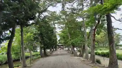 志那神社(滋賀県)