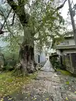 神宮寺(長野県)