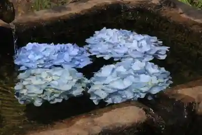 国宝 大法寺の手水舎