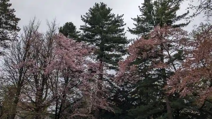 帯廣神社の自然