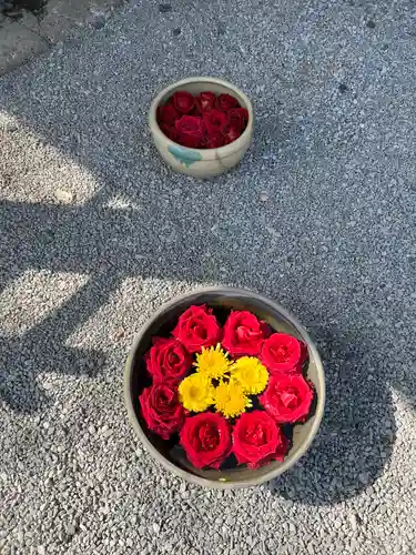 前玉神社(埼玉県)