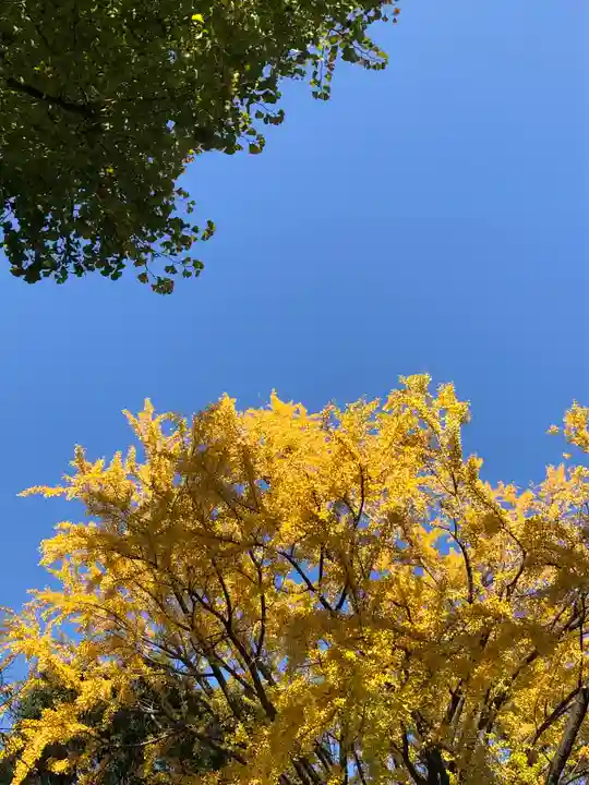 田無神社の自然