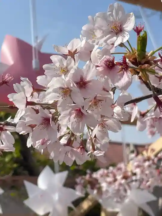 仙台八坂神社(宮城県)