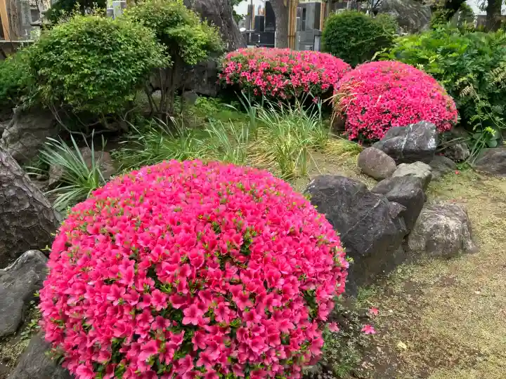 善慶寺の{uncategorized: "未分類", other: "その他", undefined: "問題あり", building: "その他建物", grave: "お墓", sacred_gate: "鳥居", guardian: "狛犬", statue: "像", buddha: "仏像", history: "歴史", nature: "自然", garden: "庭園", animal: "動物", pagoda: "塔", temizu: "手水舎", mountain_gate: "山門・神門", sanctuary: "本殿・本堂", subordinate: "末社・摂社", art: "芸術", scenery: "景色", jizo: "地蔵", ema: "絵馬", goshuin: "御朱印", omikuji: "おみくじ", items: "授与品その他", amulet: "お守り", goshuincho: "御朱印帳", eats: "食事", festival: "お祭り", votive_dance: "神楽", shichigosan: "七五三参", wedding: "結婚式", experience: "体験その他", initially: "初詣", around: "周辺", anti_infection: "感染症対策"}