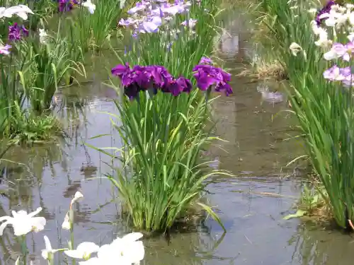 護国寺(山口県)