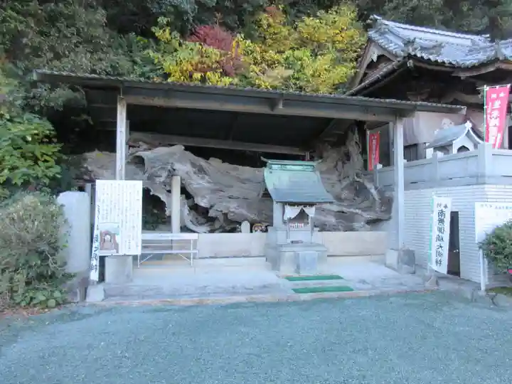 正善寺(生木地蔵)(愛媛県)