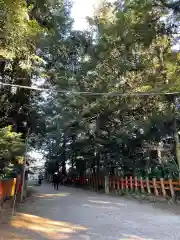 香取神宮の建物その他