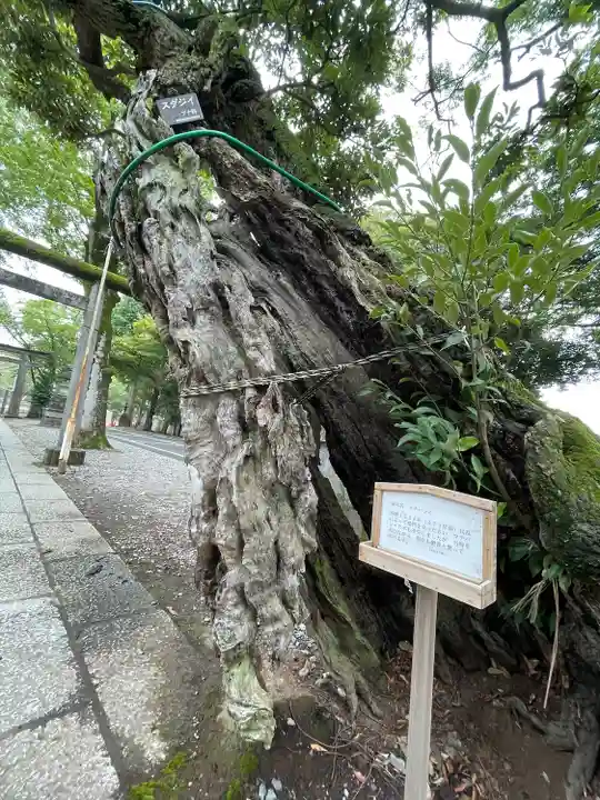 一言主神社(茨城県)